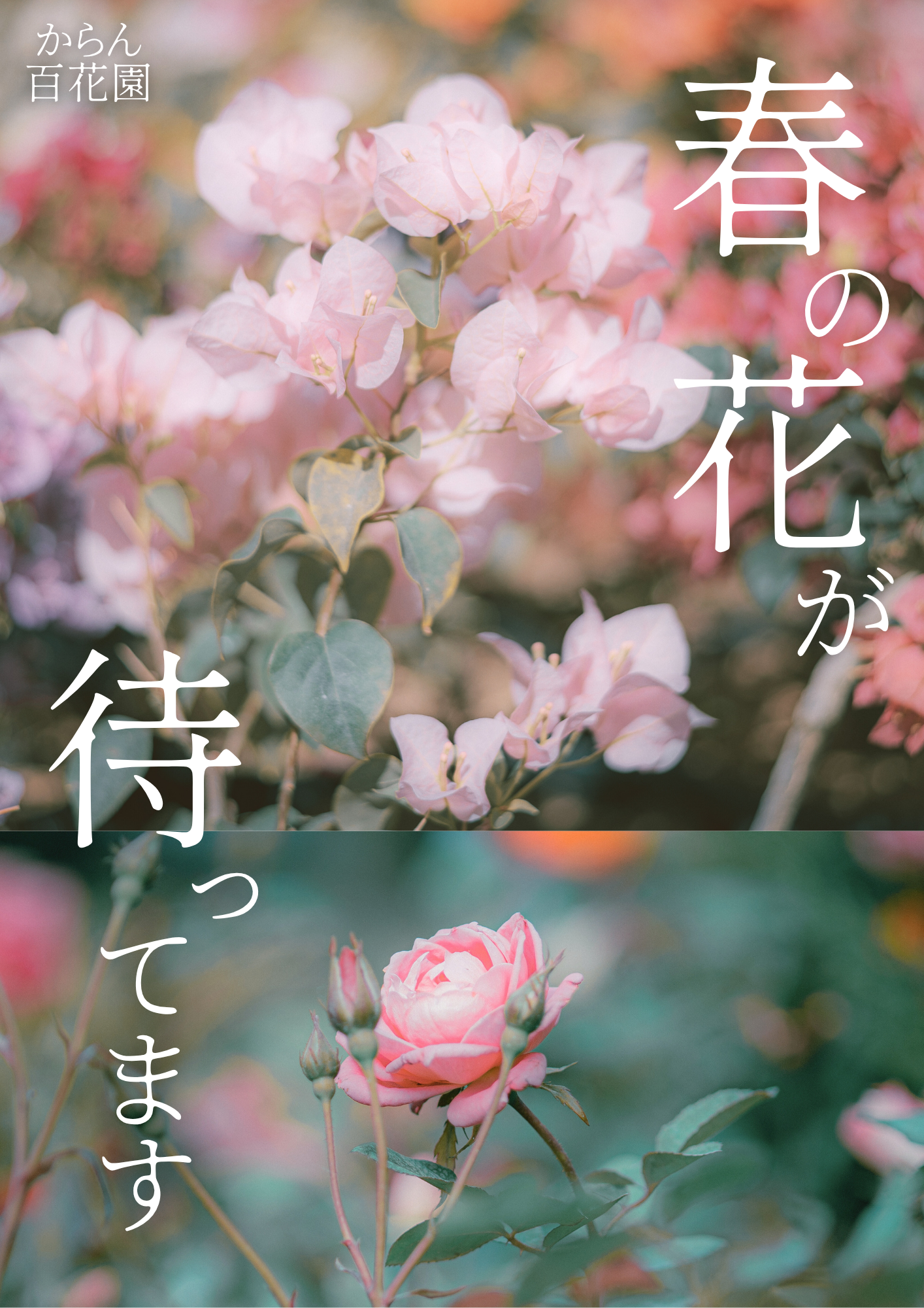 作品19